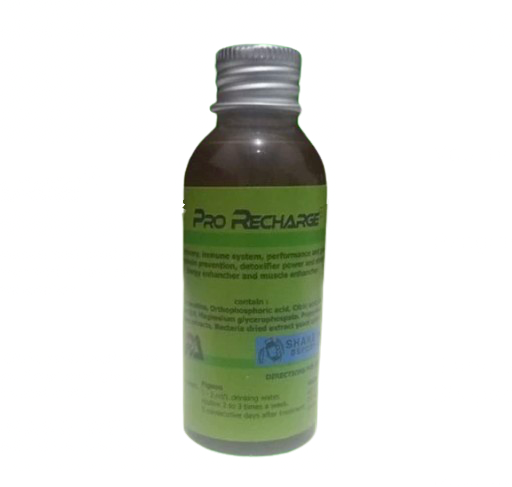 Pro Recharge 1