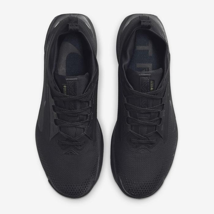 Pegasus Trail 5 GORE-TEX 5