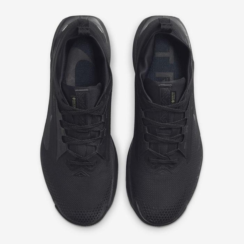 Pegasus Trail 5 GORE-TEX 5