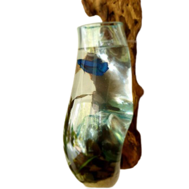 Aquarium Dinding Akar Kayu