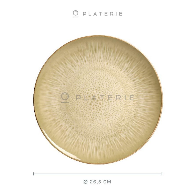 Platerie Dinner Plate Eyes of Gold 3