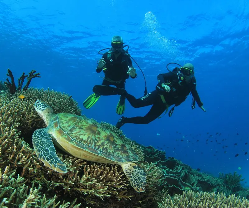 Komodo Dive Liveaboard (Open Trip) dari Labuan Bajo 1