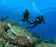 null Komodo Dive Liveaboard (Open Trip) dari Labuan Bajo 1