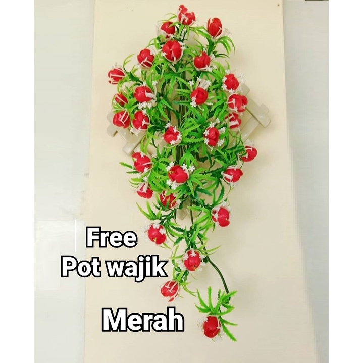  Bunga Rambat Karmelia Gantung 