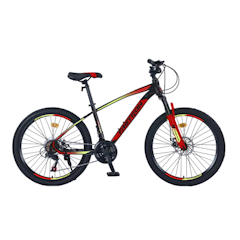 Pacific Fastron MTB 24 Inch