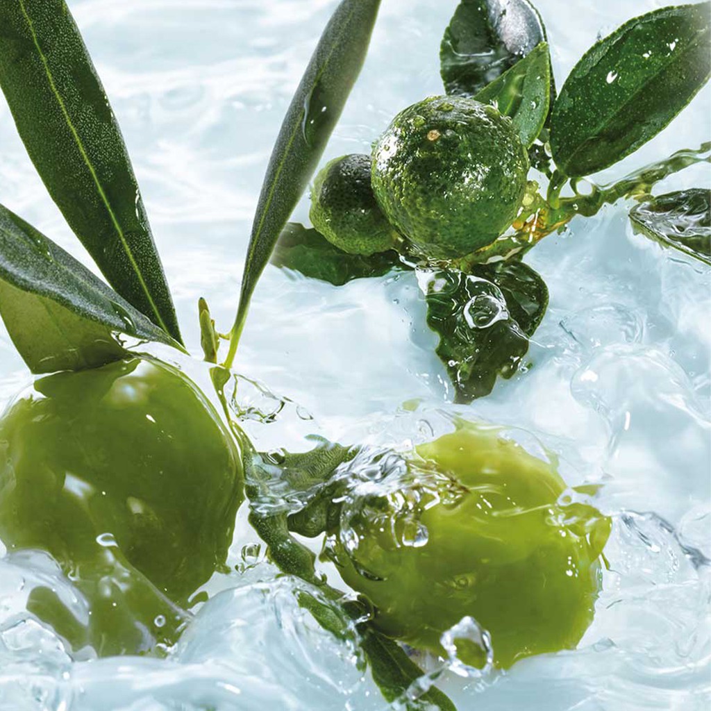 Yves Rocher Yves Rocher Olive Petitgrain Body Wash Relaxing Shower Gel