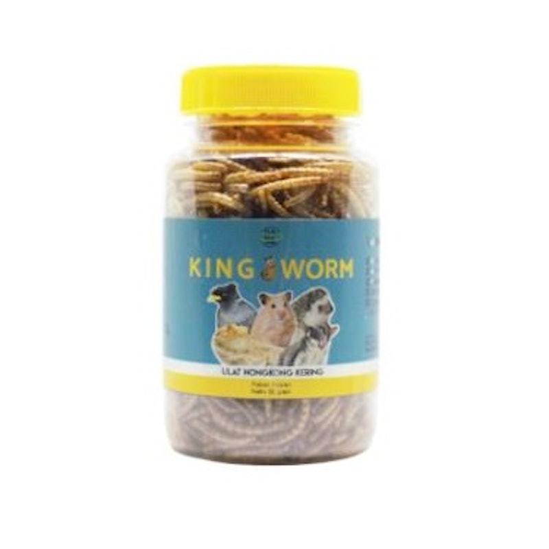 King Worm Ulat Hongkong Kering 1
