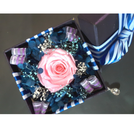 Bloom Box 4