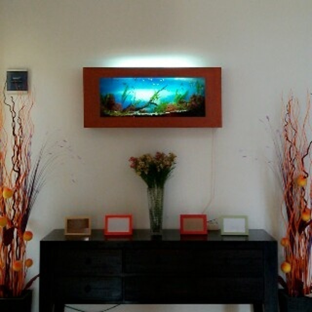 Aquarium Dinding Size S