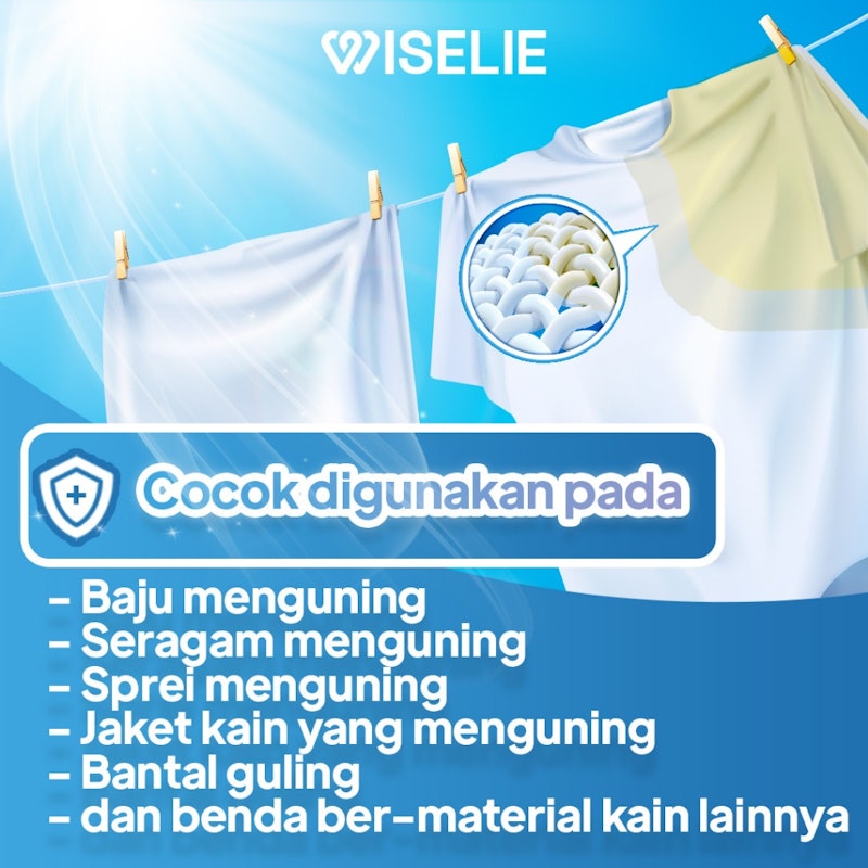 Wiselie Cloth Stain Remover 2