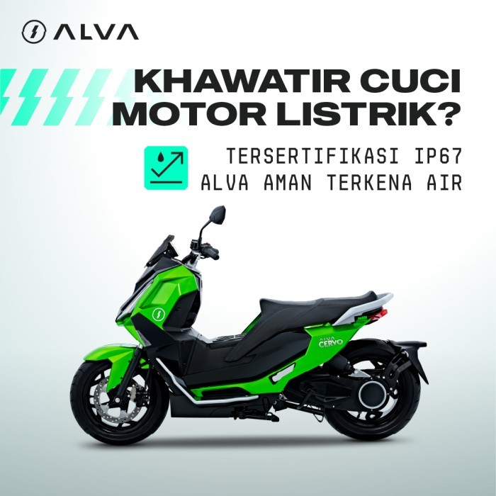 ALVA CERVO 4