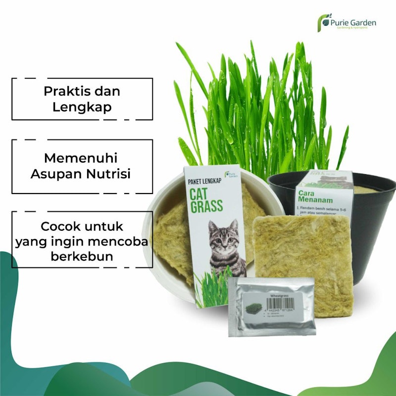 Purie Garden Paket Lengkap Rumput Kucing 2