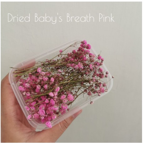 Mini Dried Flower 4