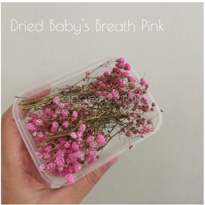 Mini Dried Flower 4