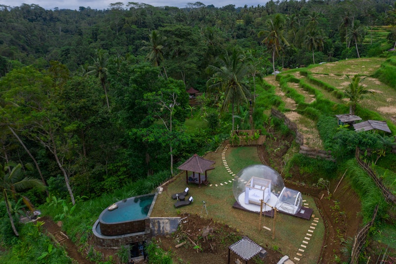 Bubble Hotel Bali Ubud 2