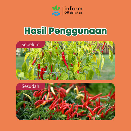Infarm Infarm Pupuk Organik Cair Tanaman Cabai
