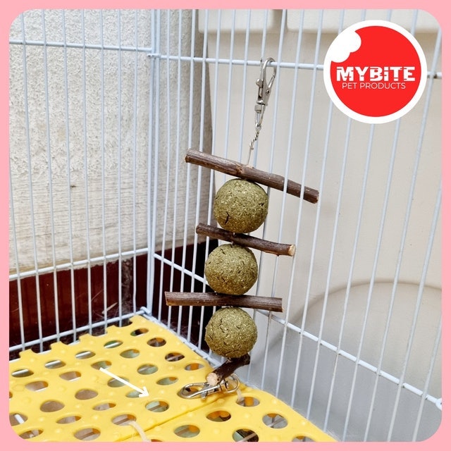 Mybite Banana Hay Ball & Apple Stick