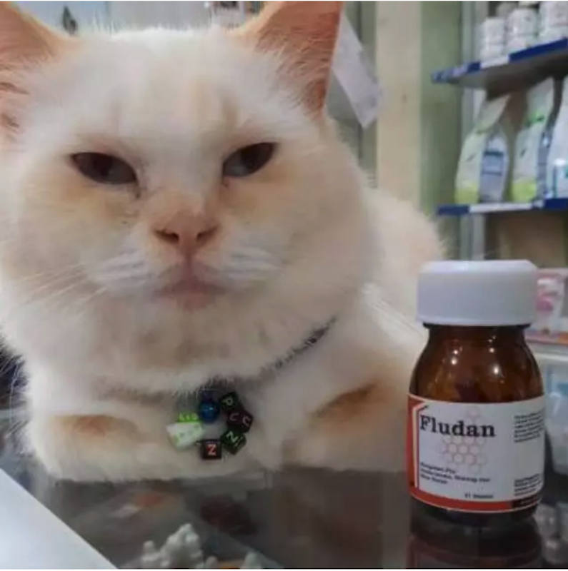 Fludan Capsules 2