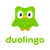 duolingo Learn Languages Free 1
