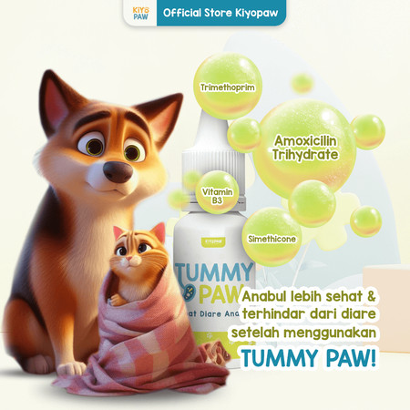 KIYOPAW Tummy Paw 4