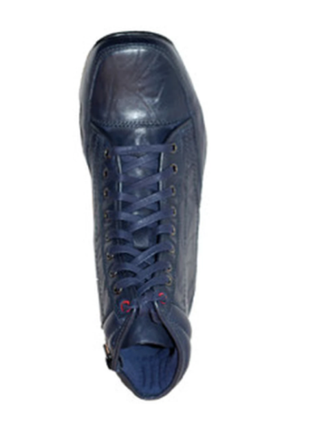 Gino Mariani Elario 2