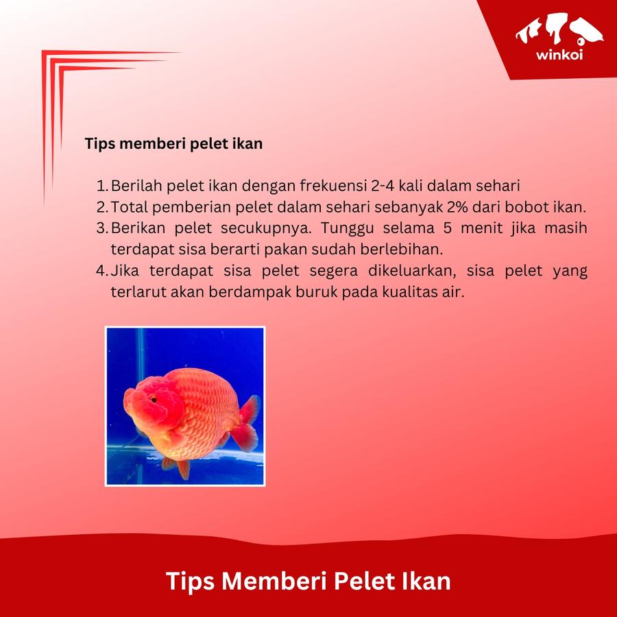 Mizuho Mizuho Goldfish Food