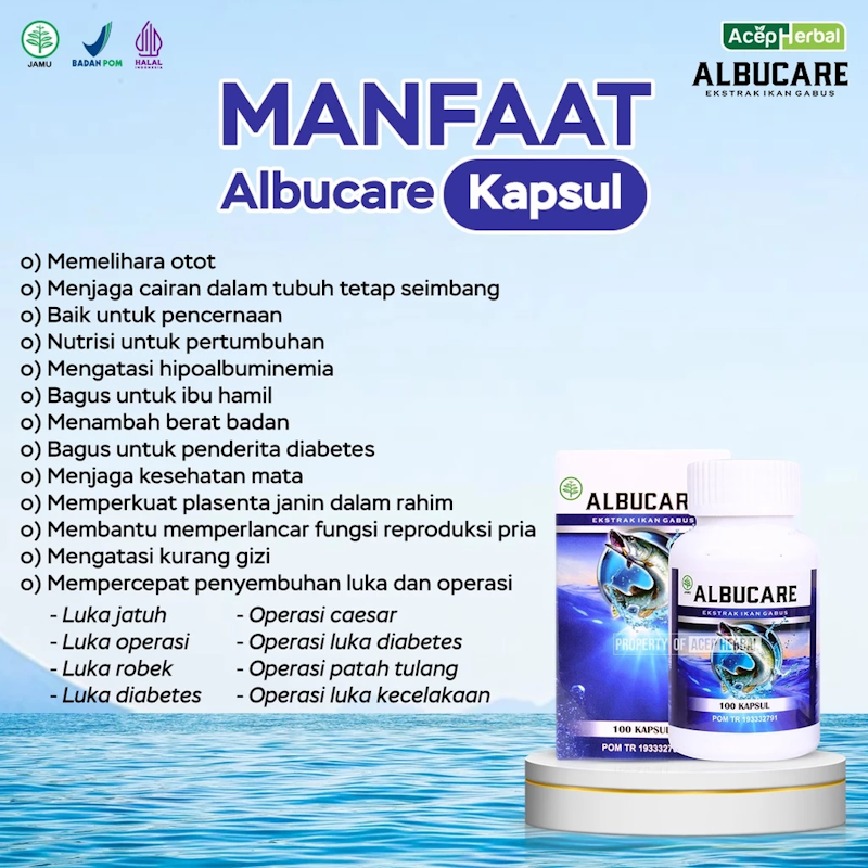 Albucare (Ekstrak Ikan Gabus) 3