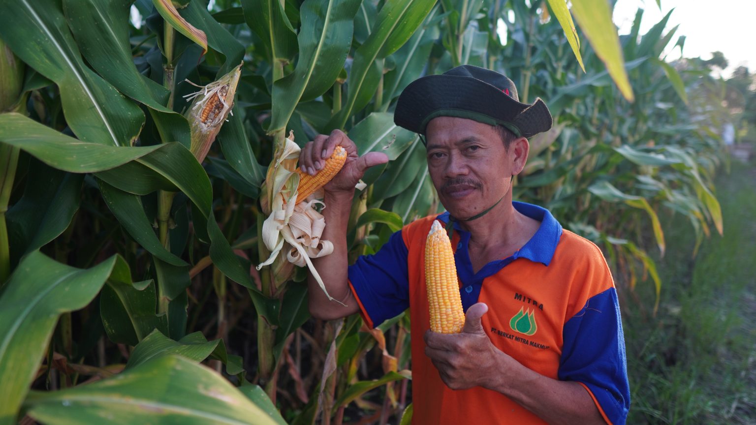 Berkat Mitra Makmur TSAMAR32 Pupuk Makro Tunggal Urea Cair 32% 