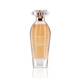 10 Rekomendasi Parfum MINISO Terbaik 5