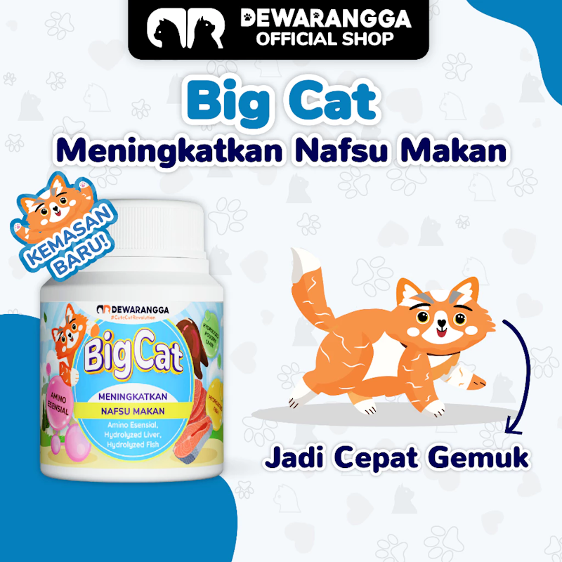 Dewarangga Cattery Big Cat 3