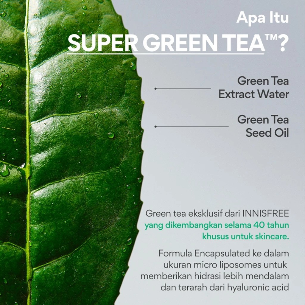 Green Tea Ceramide Milk Essence 2