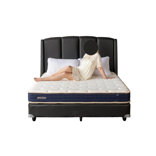 Royal Foam Kasur Busa Lincoln 1