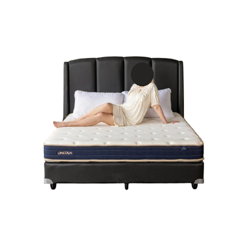 Royal Foam Kasur Busa Lincoln 1