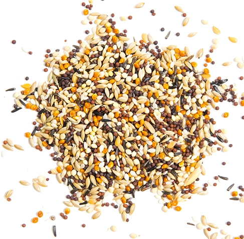 Wachsen Smart Choice Royal Canary Pakan Kenari