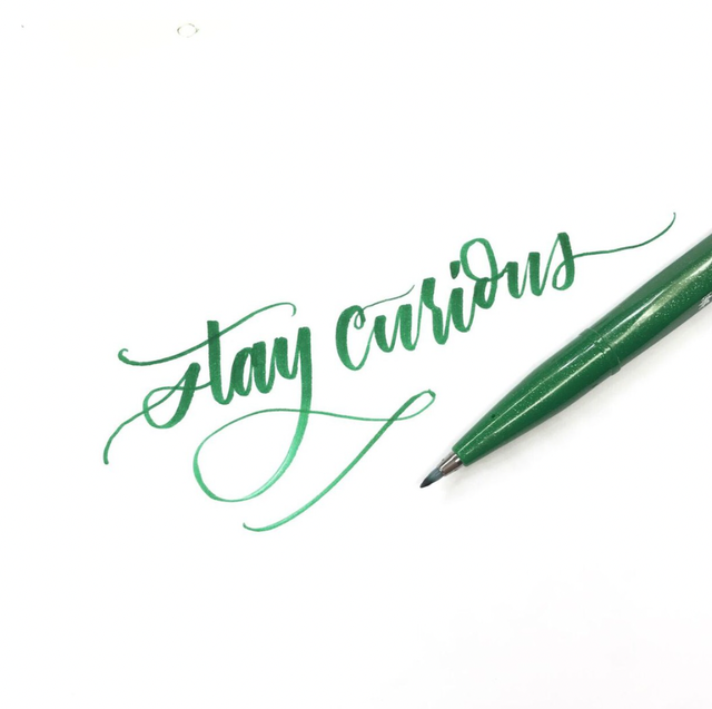 Pentel Brush Sign Pen