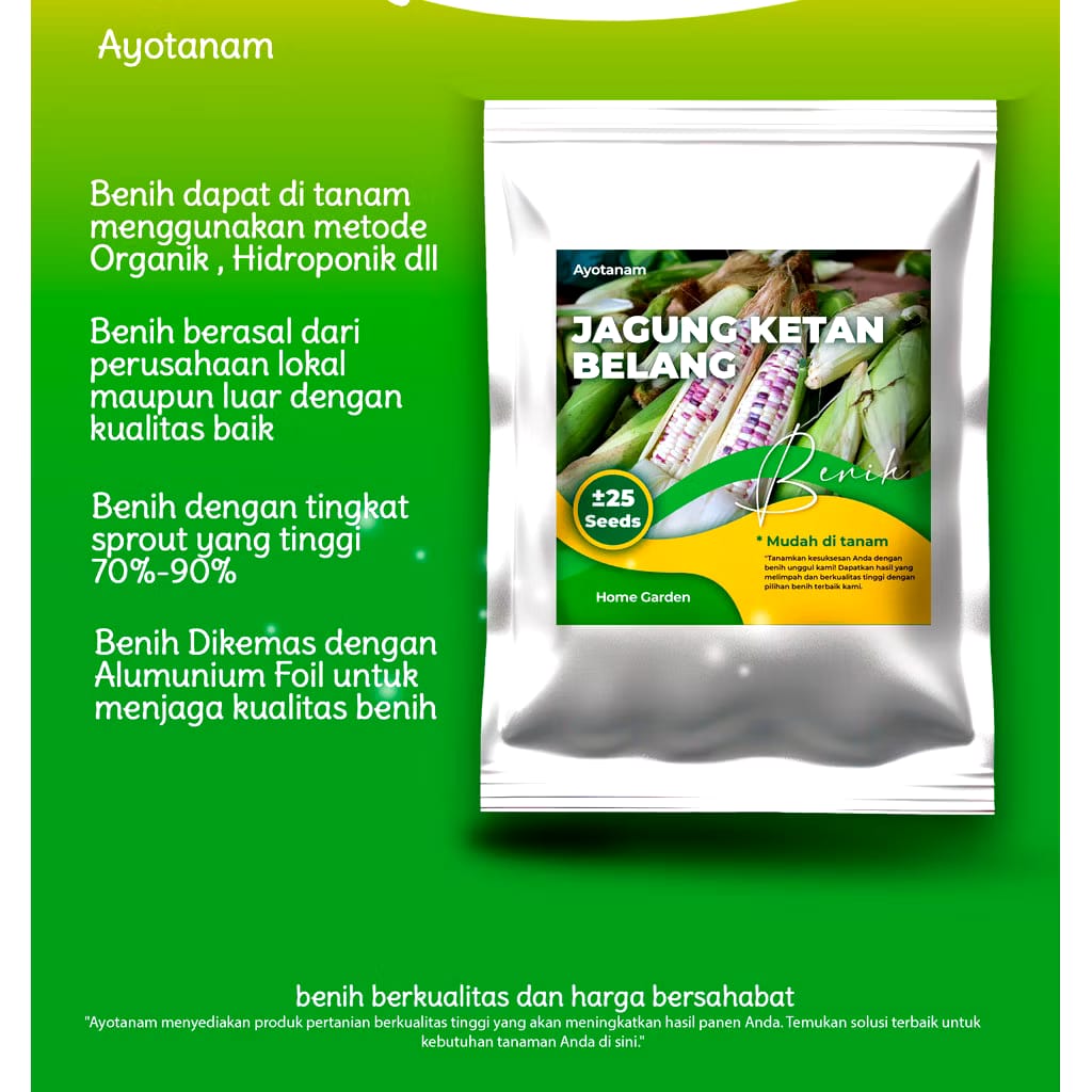  AYOTANAM Benih Jagung Ketan Belang