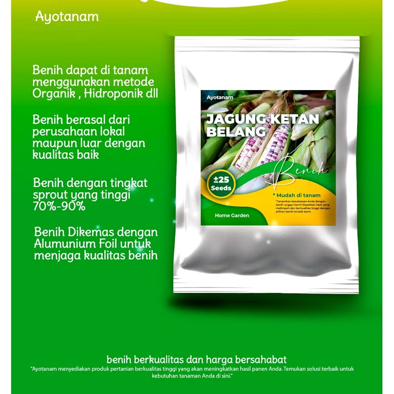 AYOTANAM Benih Jagung Ketan Belang 4