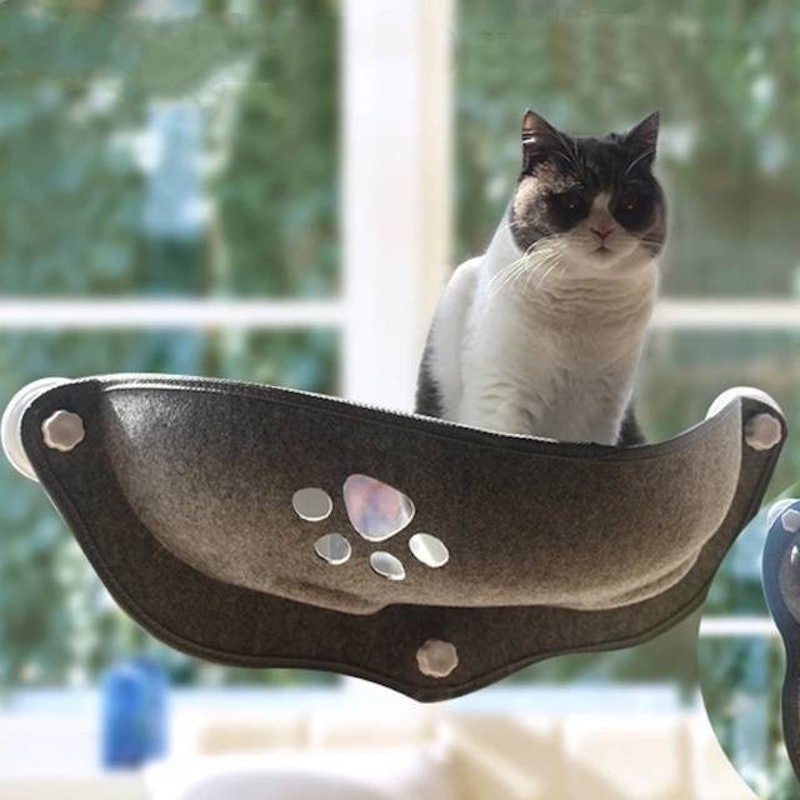 Cat Window Hammock 2