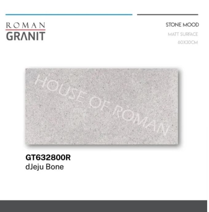 Roma Ceramic International  Roman Granit Stone Mood dJeju Series 30x60 