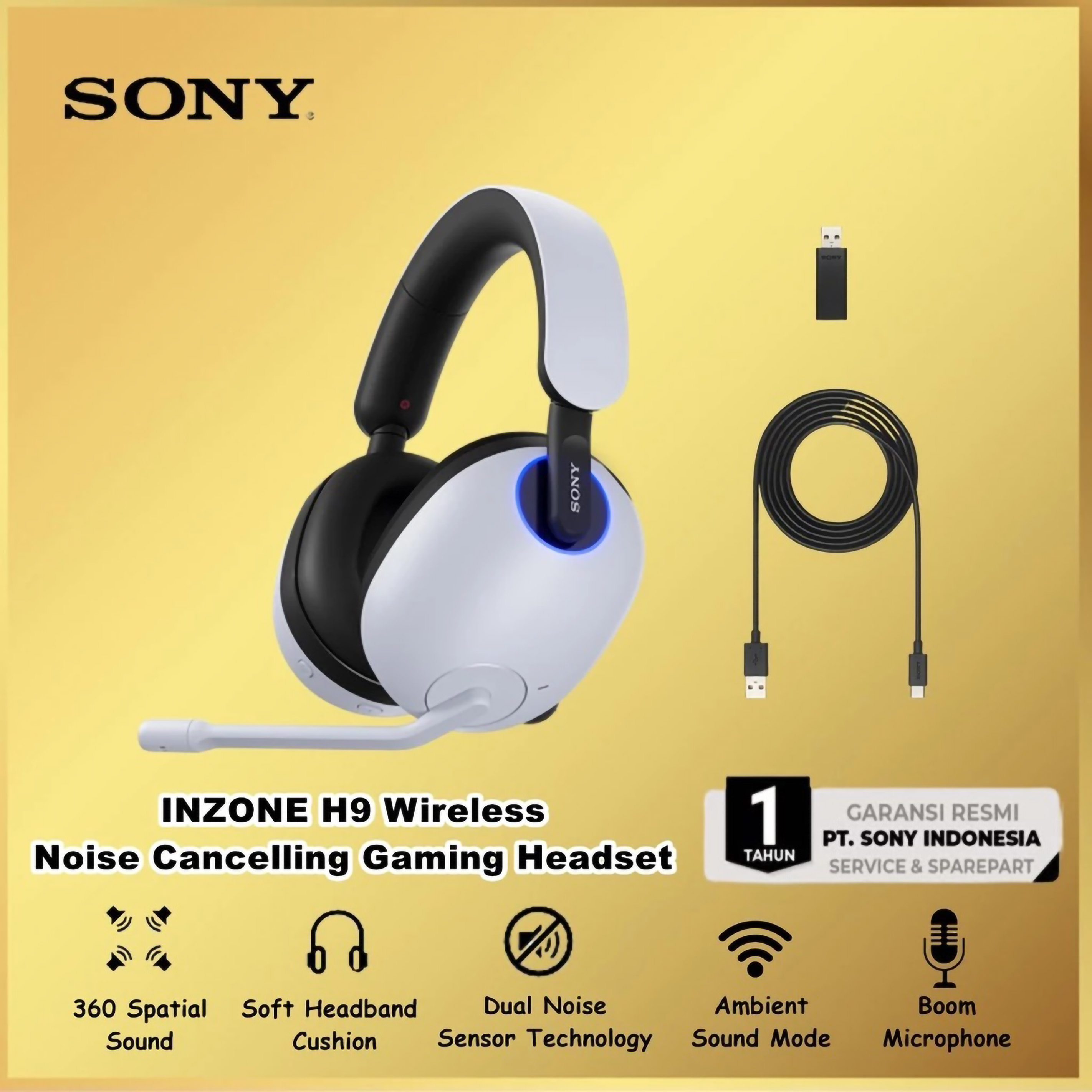 SONY Group Sony Inzone H9