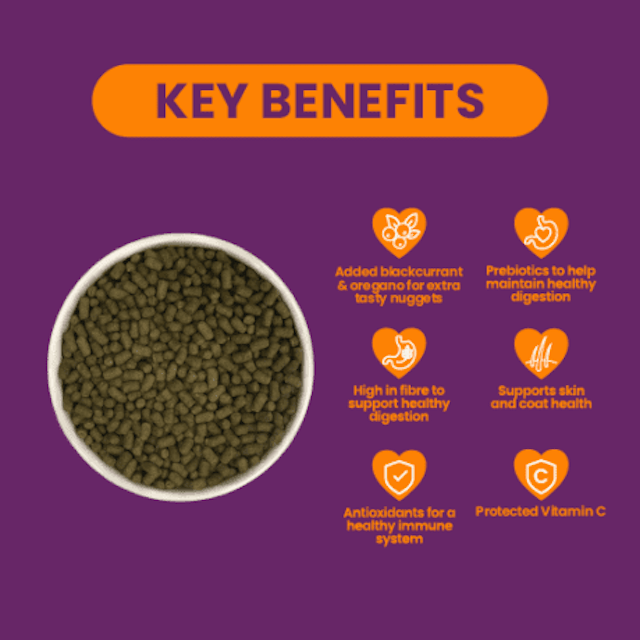 Burgess Excel Guinea Pig Nuggets with Blackcurrant & Oregano