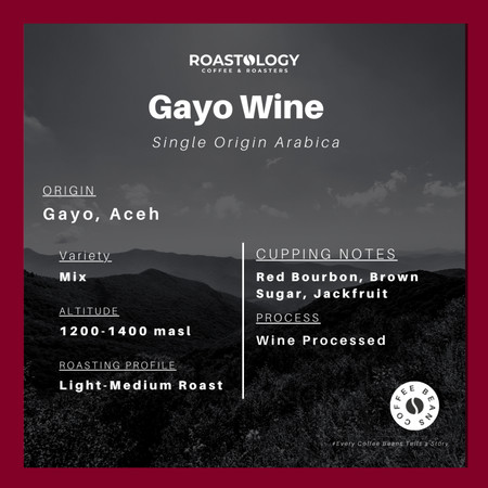 Roastology Coffe & Roasters ROASTOLOGY Gayo Wine Specialty Coffee
