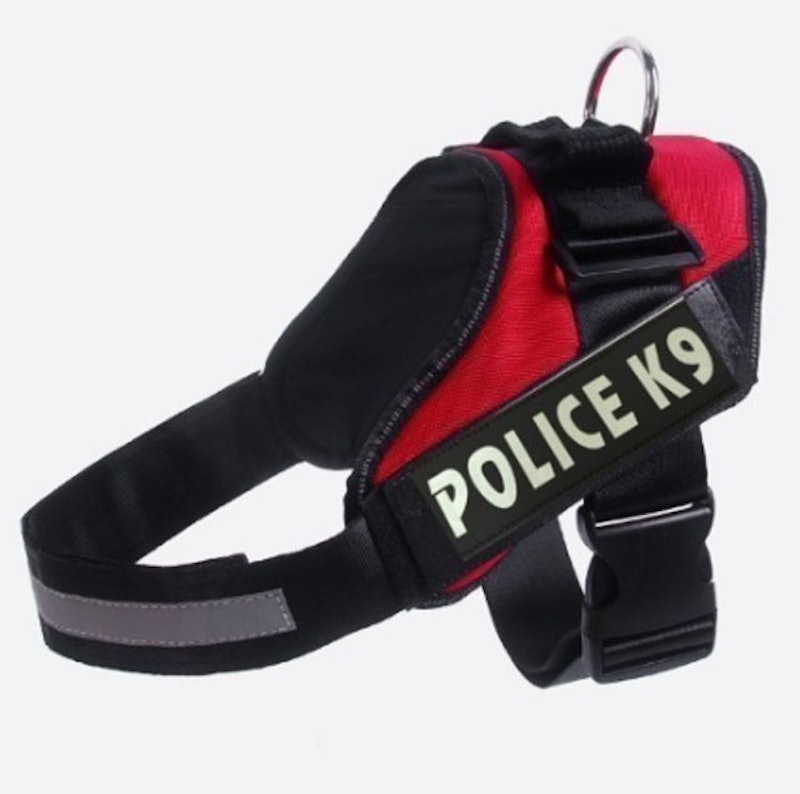 Dog Harness 1