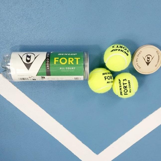 Sumitomo Rubber Industries Dunlop Fort All Court TS 