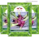 East-West Seed Cap Panah Merah - Benih Bawang Merah Lokananta 1