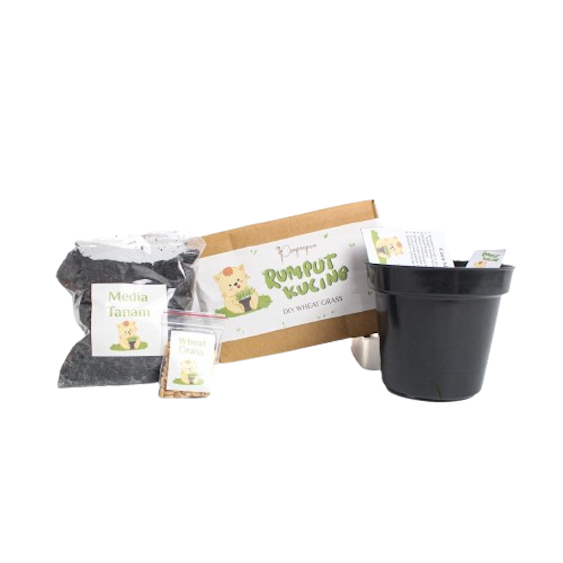 Poupeepou - Biji Rumput Kucing DIY 1