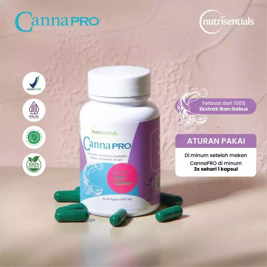 Nutrisentials Nutrisentials Cannapro (dari Ekstrak Ikan Gabus)