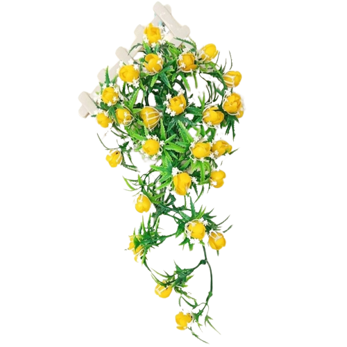  Bunga Rambat Karmelia Gantung 