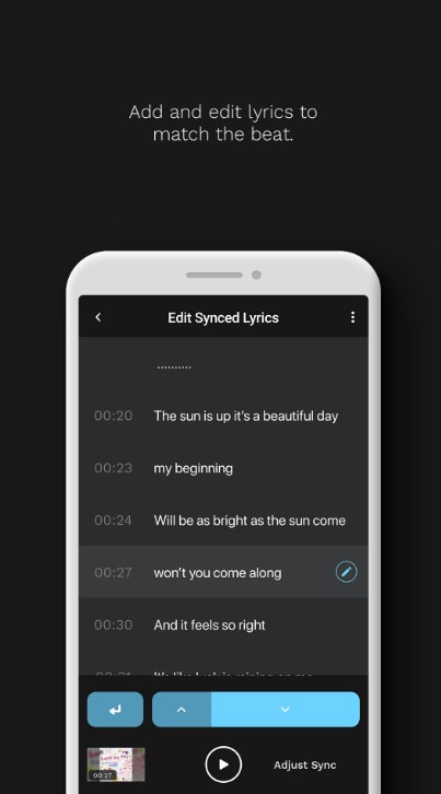 SingPlay: Karaoke Your MP3  4