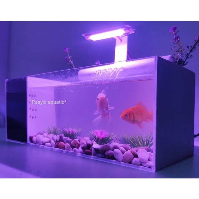 Akuarium Mini Akrilik Fullset 4